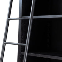 Admont Bookcase and Ladder