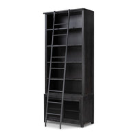 Admont Bookcase and Ladder