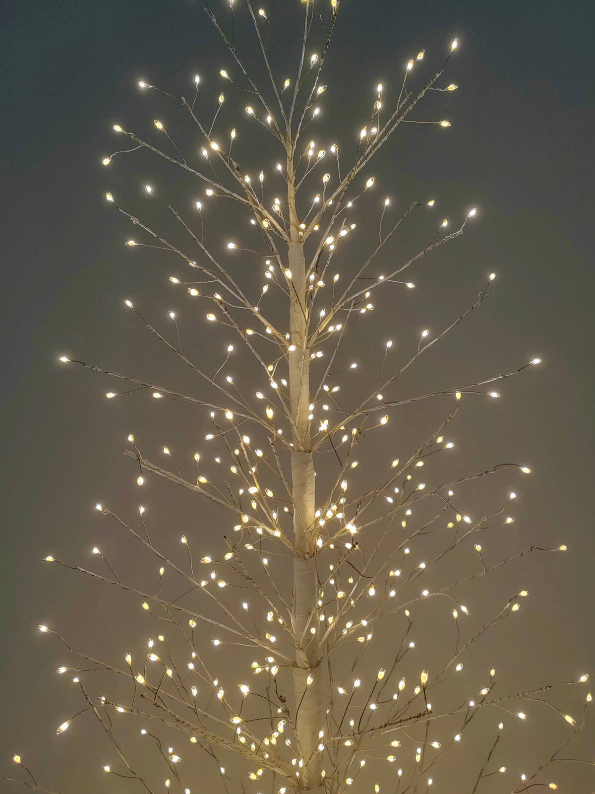 70in White Birch Tree with 1099 LED Lights Indoor Use Only